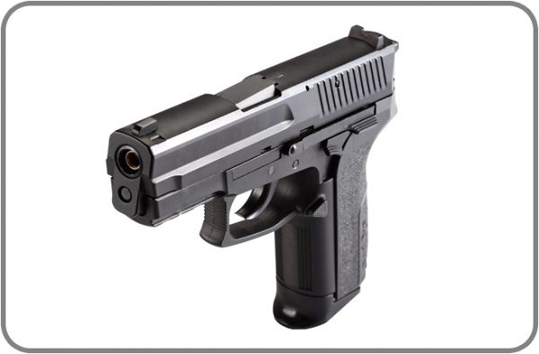 sigpro 2022 murah