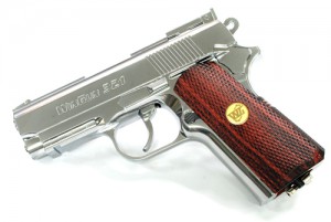 wg 321 silver.b